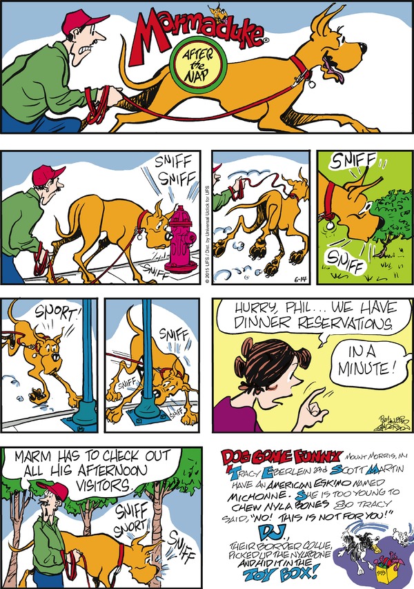 marmaduke